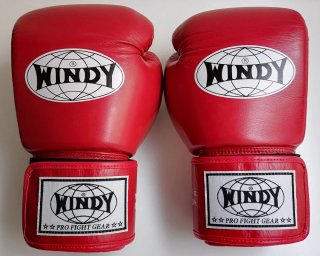 Guantes de Boxeo Windy 14 oz BGVH
