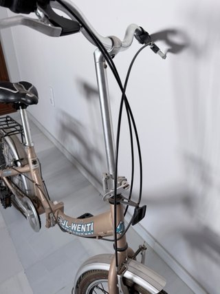 Bicicleta Plegable JL-Wenti Stone-20XR