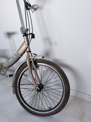 Bicicleta Plegable JL-Wenti Stone-20XR