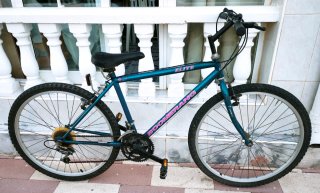 Bicicleta Boomerang Elite 26