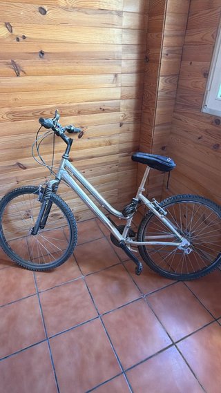 Bicicleta de montaña plateada