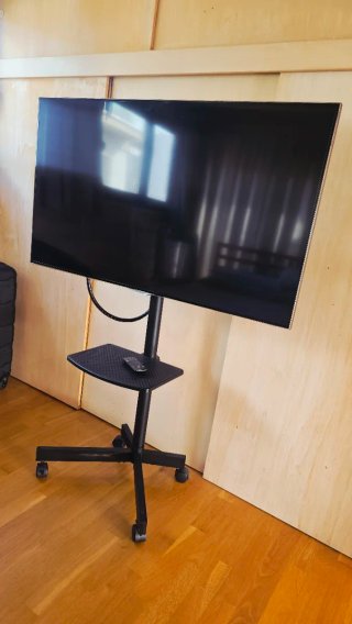 Samsung UE46F6640SS TV + Soporte con Ruedas
