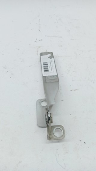 876099 BISAGRA CAPO IZQUIERDA CITROEN C3
