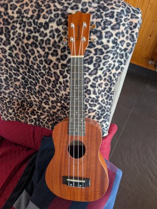 2 Ukulele con Custodia, 25€/u