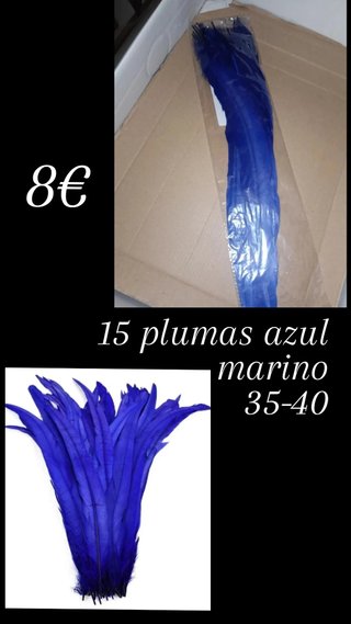 15 Plumas Gallo Azul Marino 35-40cm