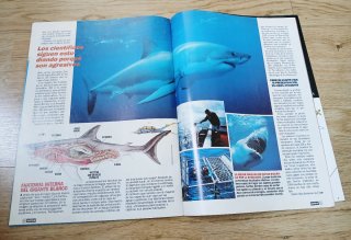Gran colección revista NATURA años 1983-1992