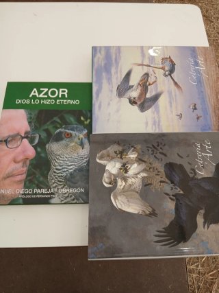 Libros de cetreria