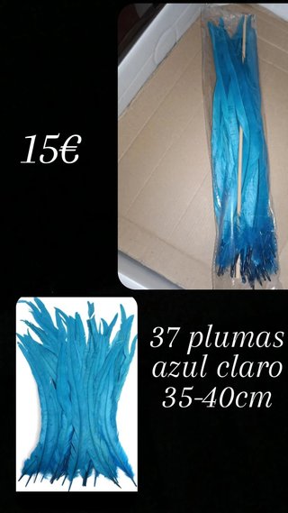 37 Plumas Gallo Azul Claro 35-40cm