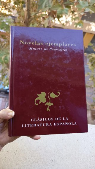 Lote de libros. Literatura clásica.
