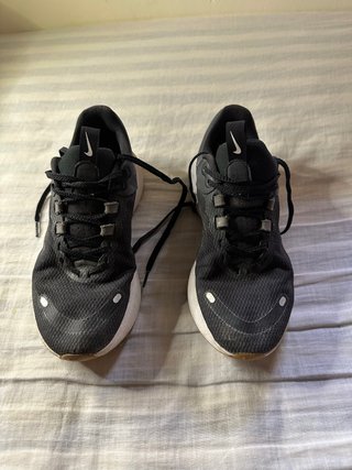 Bambas