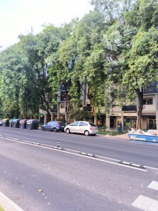 Plaza garaje en alquiler en la Avenida Ciencias11