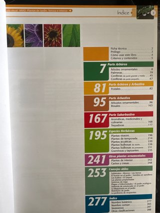 Guía Visual: Plantas de Jardín y Terraza
