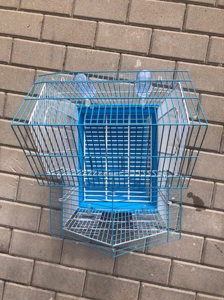 Jaula para pájaros azul