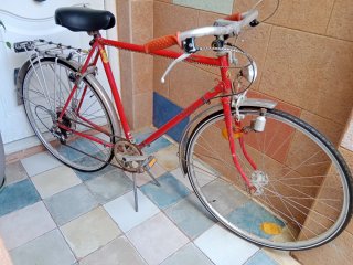 Bicicleta Patria Clásica Paseo