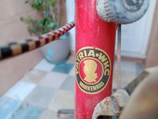 Bicicleta Patria Clásica Paseo