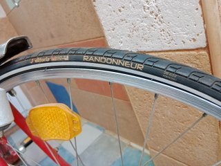 Bicicleta Patria Clásica Paseo