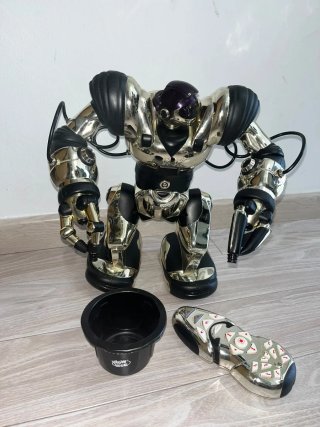 Robot Robosapien