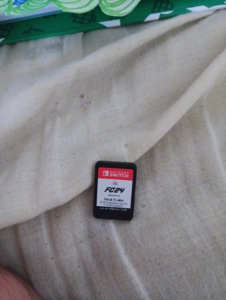 FC 24 Nintendo Switch