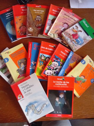 Lote 15 libros lectura a partir 8 años