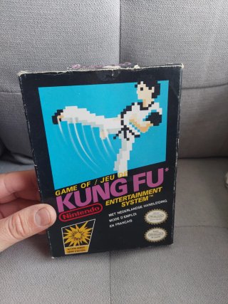Kung Fu Nintendo NES