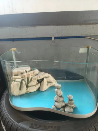 Acquario o acquaterrario in vetro