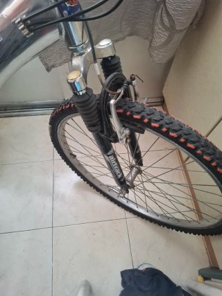 Bicicleta de montaña plateada