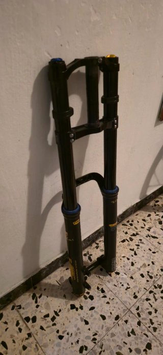 Horquilla DH Ohlins 2024