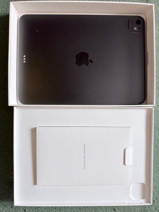 iPad Pro 11" 256GB Gris Espacial - Batería 100%