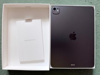 iPad Pro 11" 256GB Gris Espacial - Batería 100%