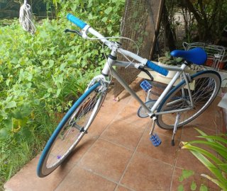 Bicicleta Fixie (Single Speed)