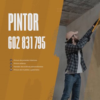 Pintor Alicante