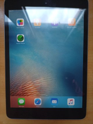 Apple iPad Plata
