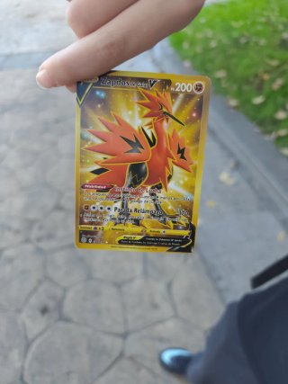 Carta Pokémon Zapdos de Galar V