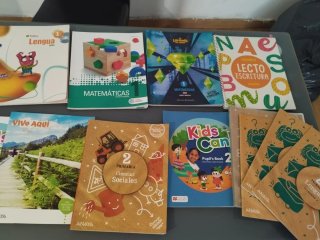 Lote Libros primaria