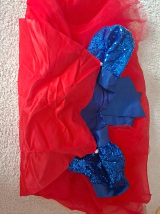 Disfraz de Superhéroe Infantil Rojo y Azul