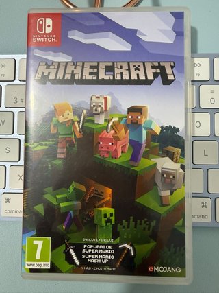 Minecraft Nintendo Switch