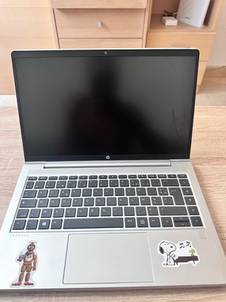 HP ProBook 8GB RAM SSD NVMe 256GB