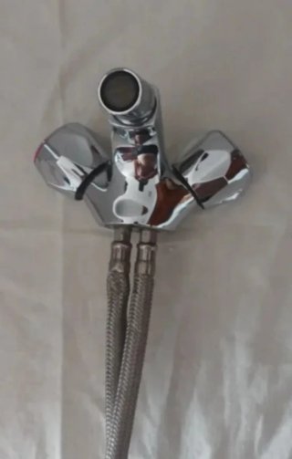 Grifo bide