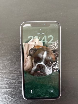 iPhone 11 Morado