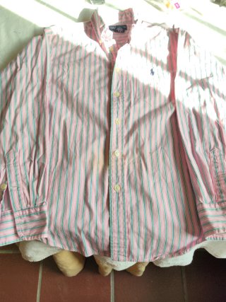 Camisa Ralph Lauren Niño a rayas rosa y verde