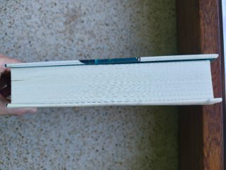 El albatros negro