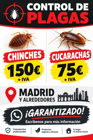 Control de Plagas: Chinches y Cucarachas