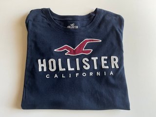 Camiseta Manga Larga Hollister