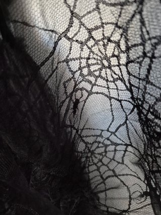 Disfraz Reina Araña T8-10 Zara