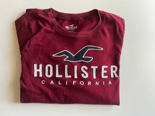 Camiseta Manga Larga Hollister granate