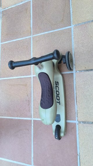 Patinete 2 en 1 Scoot and Ride