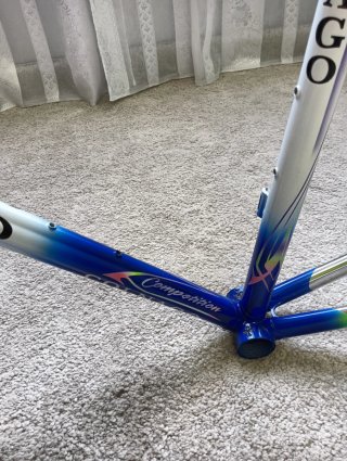 Cuadro Colnago Master Tecnos T-54 Art Decor