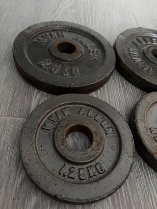 Discos de pesas Ryan Allen 2.5kg y 1.25kg