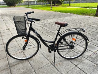 Bicicleta de paseo con cesta