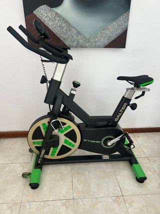 Bicicleta Spinning Salter Stone PT-1590